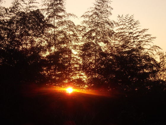 a0054240_014820.jpg