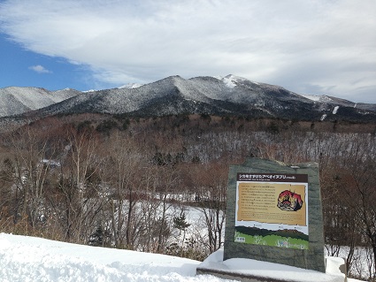 c0227640_82783.jpg