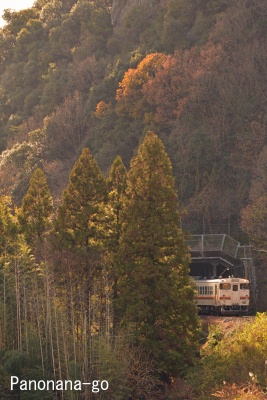 路線を漂う ~顔を出したキハ~_c0185241_0182550.jpg
