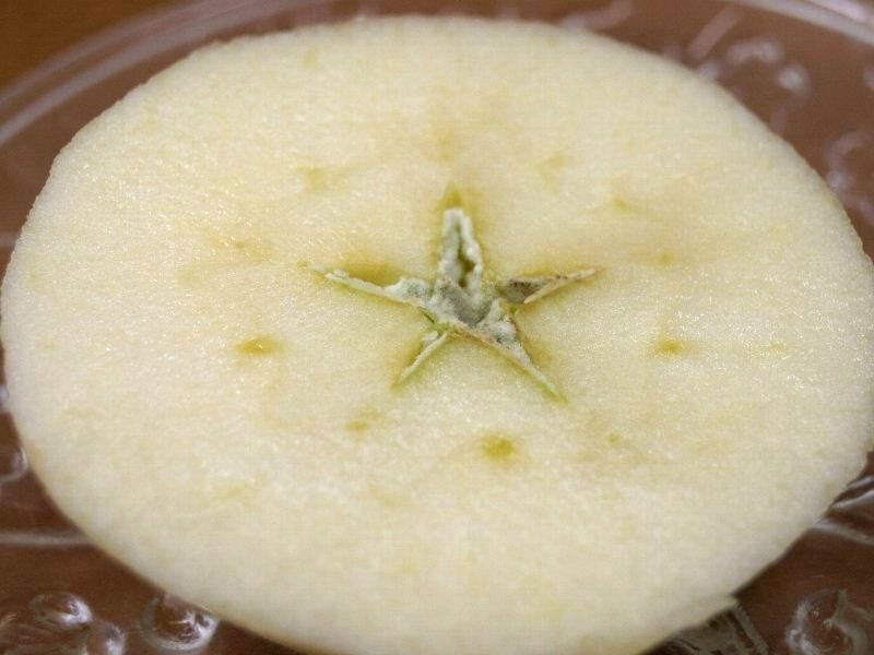 ☆ちょっとだけ父の話をしてこよう☆_c0092953_11581953.jpg