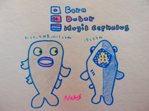 e0026754_17383761.png