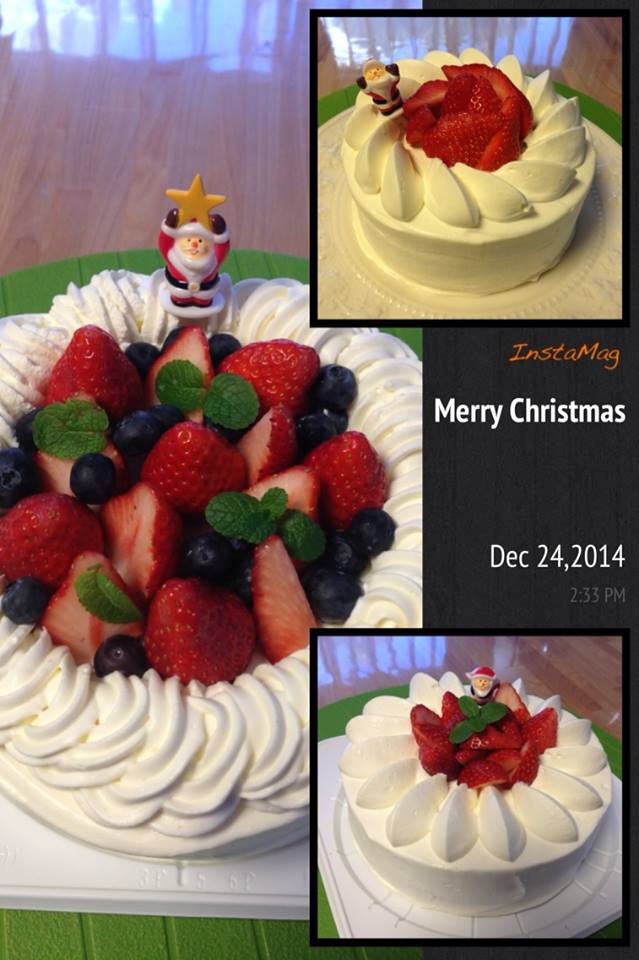 クリスマスケーキ2014_a0214059_185879.jpg