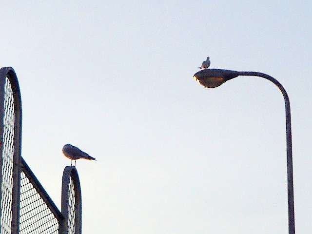 b0044663_15523865.jpg