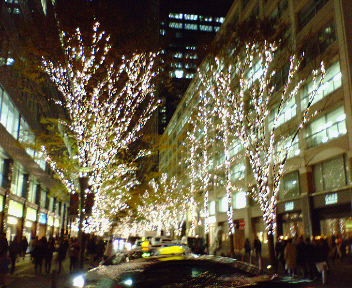 f0223565_11414259.jpg