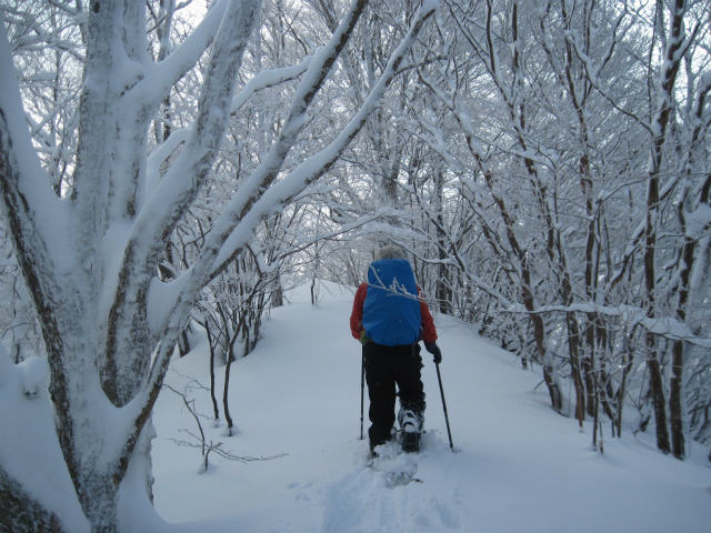 2014.12.23　風呂塔1402ｍ～火打山1425ｍ_c0219866_11305245.jpg