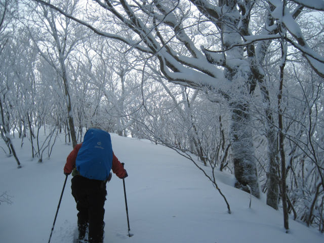 2014.12.23　風呂塔1402ｍ～火打山1425ｍ_c0219866_1131335.jpg