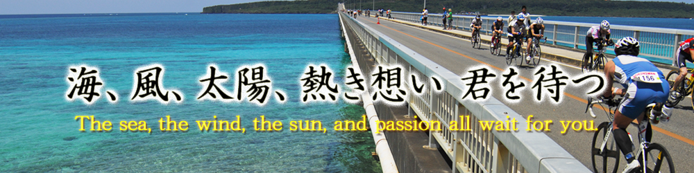 宮古島からのプレゼント_e0333567_1542712.png