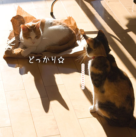 a0119470_18541159.jpg