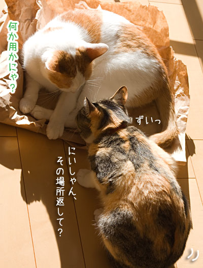 a0119470_18541855.jpg