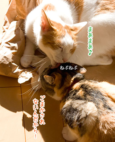 a0119470_18542177.jpg