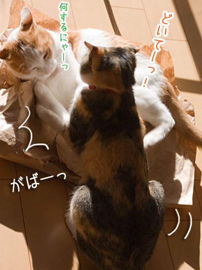 a0119470_18542955.jpg