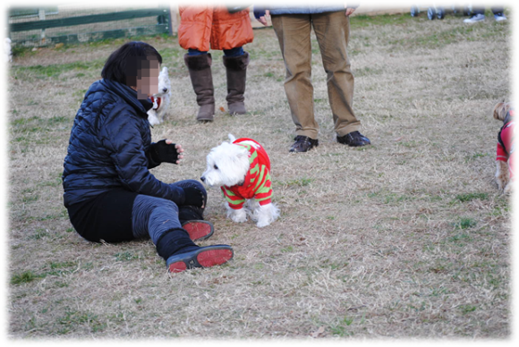 b0242873_02025421.png