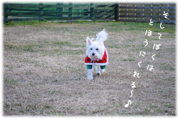 b0242873_02212839.png