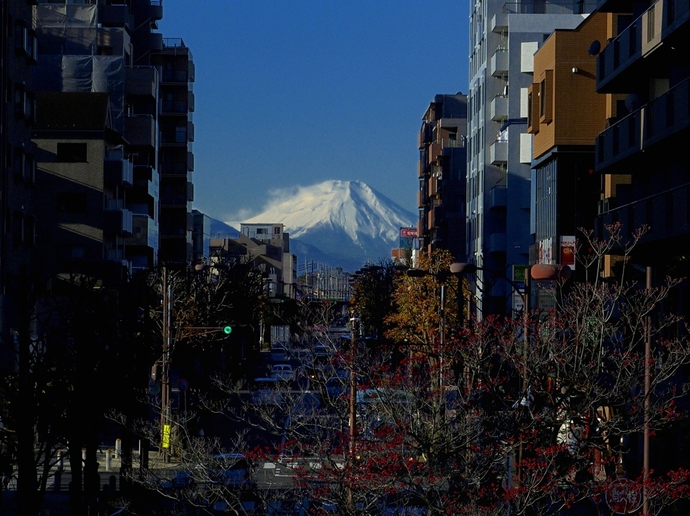さいわい保育園の民営化は検討し直すべきです_b0190576_00512664.jpg