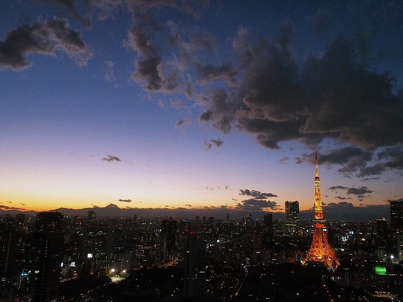 東京タワー　夕景＆夜景_d0316677_21431170.jpg