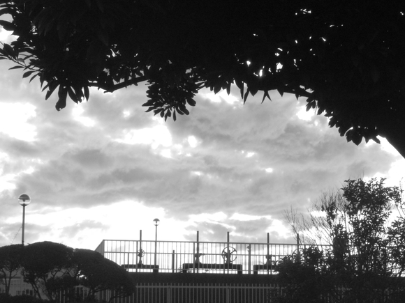 a0152078_859643.jpg