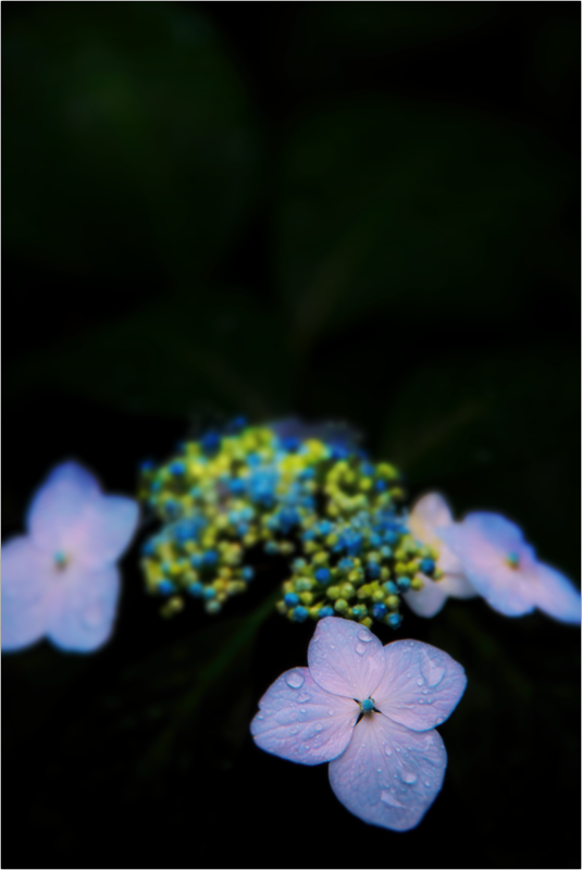 f0105694_0205313.png