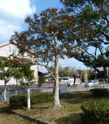 f0166694_19145670.jpg