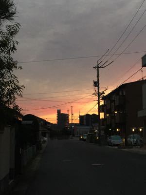 f0287094_845595.jpg