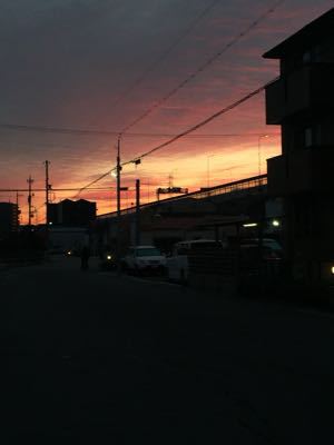 f0287094_845622.jpg