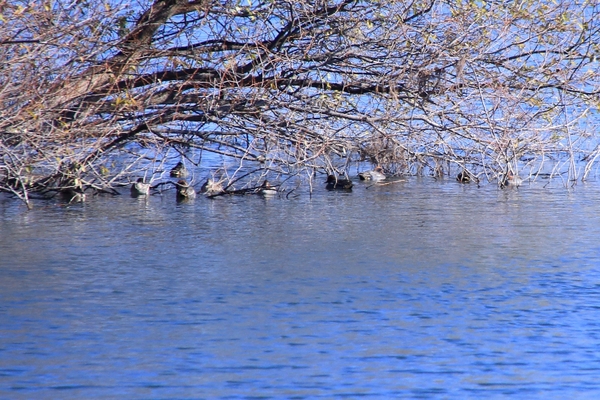 b0236595_865742.jpg