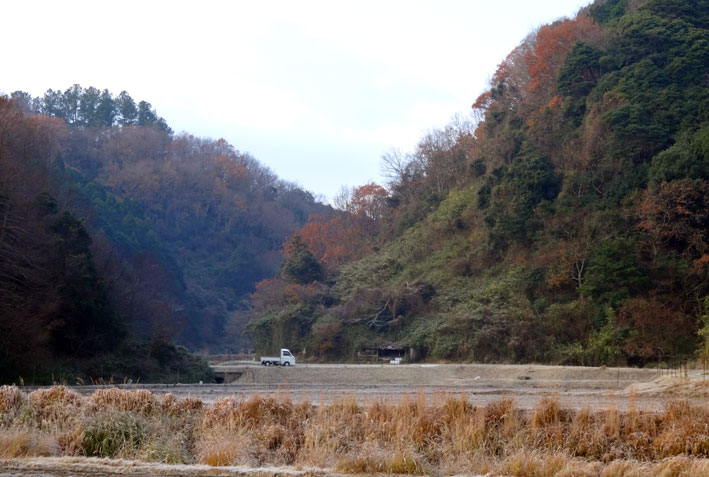 師走の里山散歩_b0145296_1325659.jpg