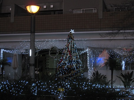 e0147297_2246349.jpg