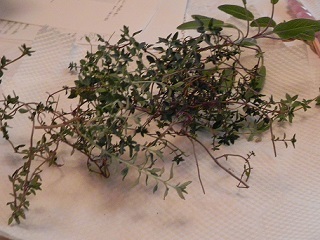 c0152002_17375812.jpg
