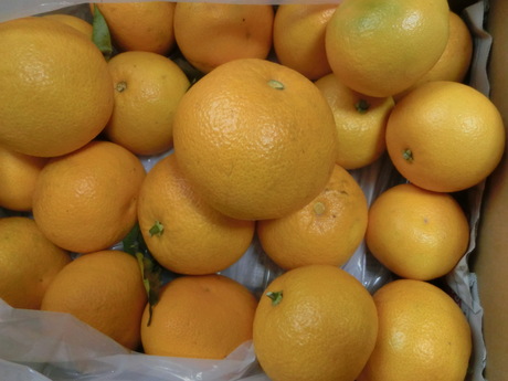 a0203003_14103230.jpg
