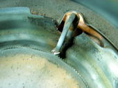 e0107304_16381983.jpg