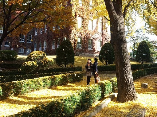 Autumn in DAEGU　⑱　啓明大学キャンパス_a0140305_156429.jpg