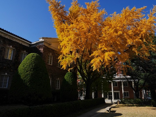 Autumn in DAEGU　⑱　啓明大学キャンパス_a0140305_157311.jpg