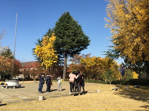 Autumn in DAEGU　⑱　啓明大学キャンパス_a0140305_1581671.jpg