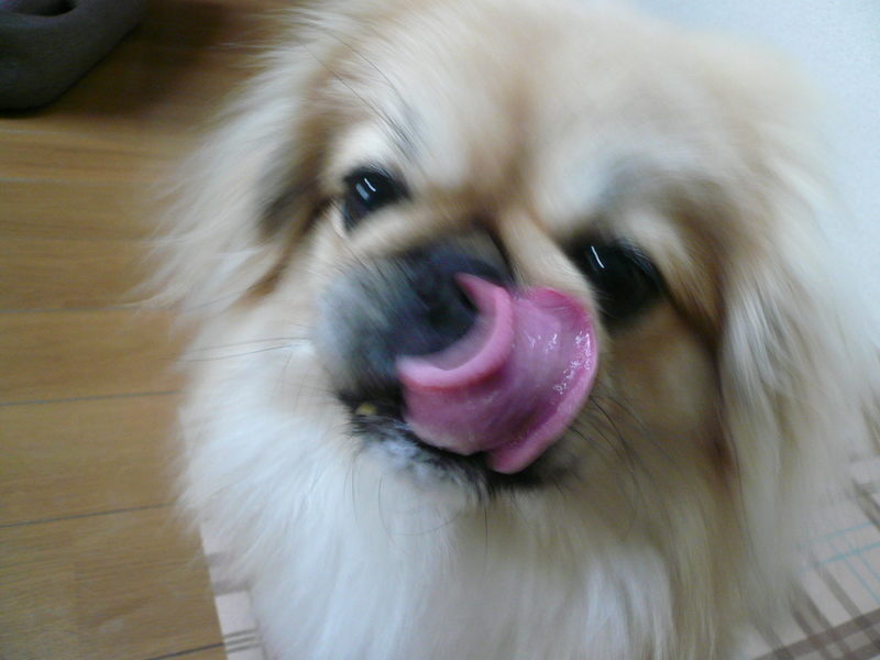 f0301306_1143823.jpg