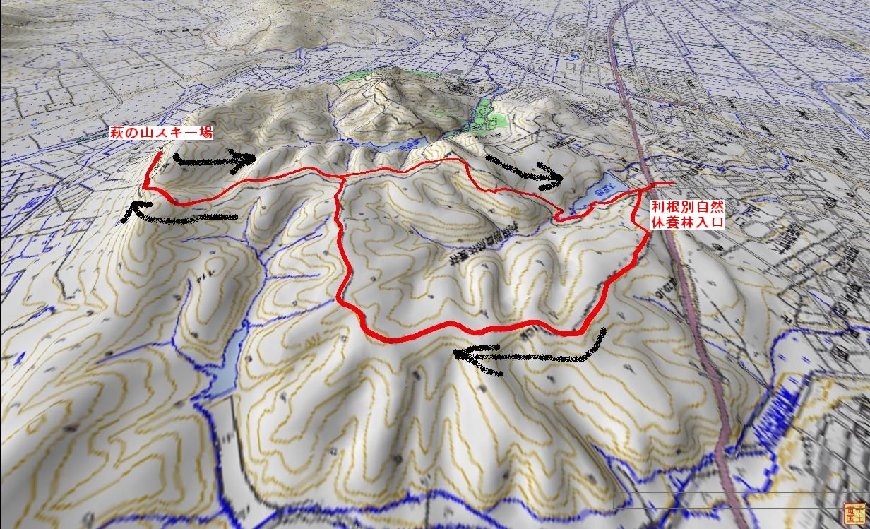 a0248508_17181450.jpg
