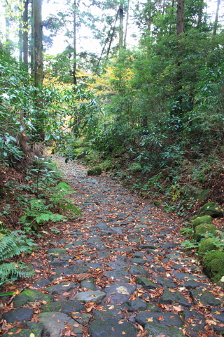 d0077811_2013392.jpg