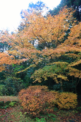 d0077811_20155081.jpg