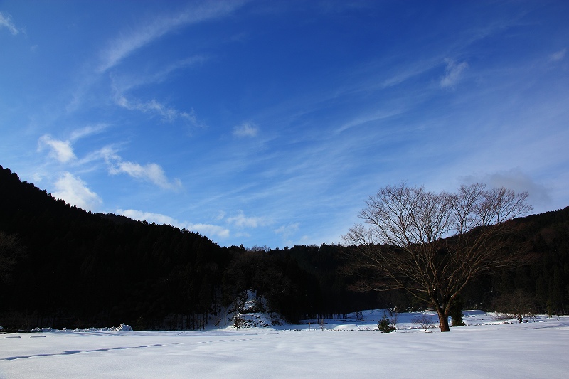 f0201711_253773.jpg