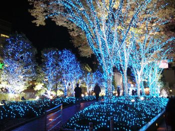 高輝度発光ダイオード発明の国、日本のクリスマスイルミネーションがすごい！_e0171614_2223839.jpg