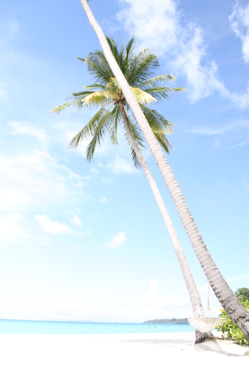 f0233916_11926.jpg