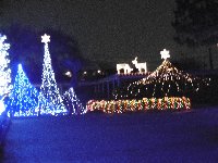 c0133422_057358.jpg