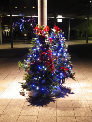 創価の森のクリスマス_b0312424_21482062.jpg