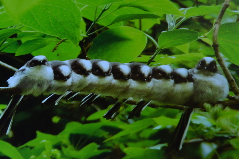 e0335926_23473661.jpg
