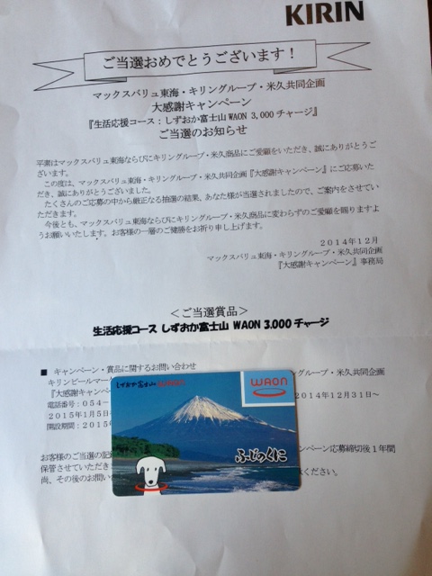 まだまだこいこい_d0161933_2238251.jpg
