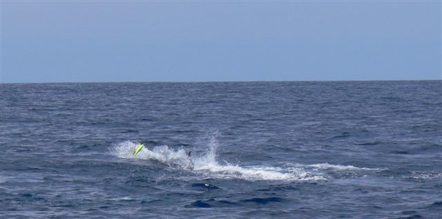 今週末は久しぶりの出航です!!【カジキ・マグロトローリング】_f0009039_10262367.jpg