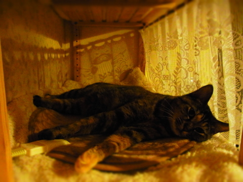 a0305046_09081523.jpg