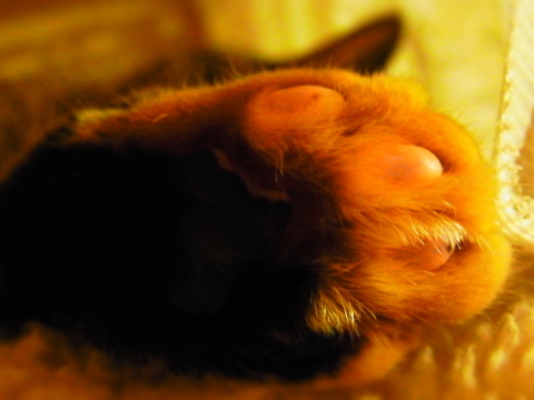 a0305046_09084940.jpg
