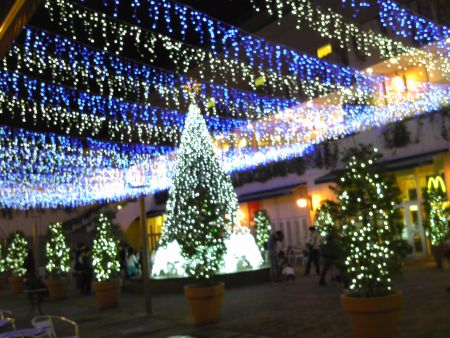 c0143347_2223579.jpg