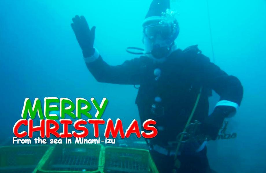 海底からメリークリスマス!_b0308353_18433044.jpg