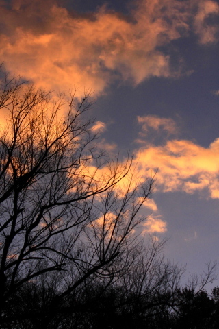 a0248459_18485087.jpg